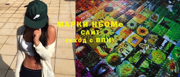 индика Балахна