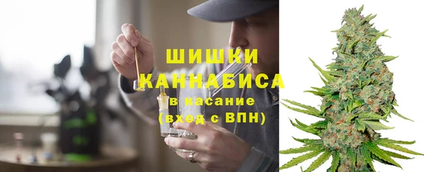 индика Балахна