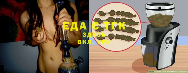 индика Балахна