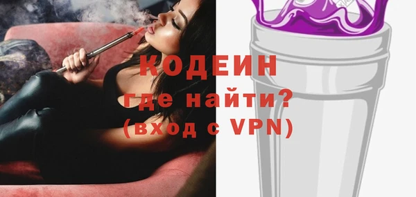 индика Балахна