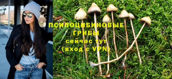 индика Балахна
