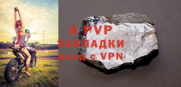 индика Балахна