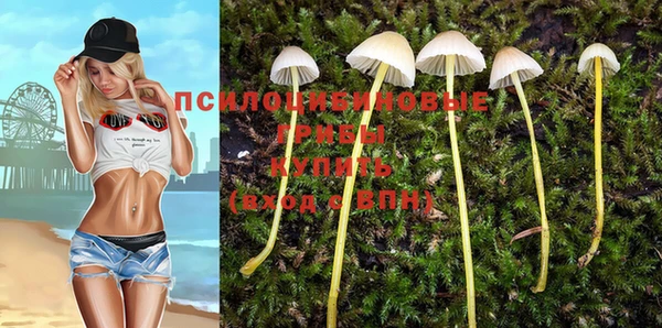 метадон Баксан