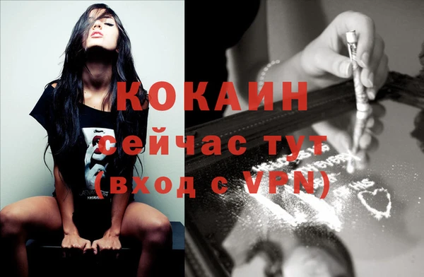 индика Балахна