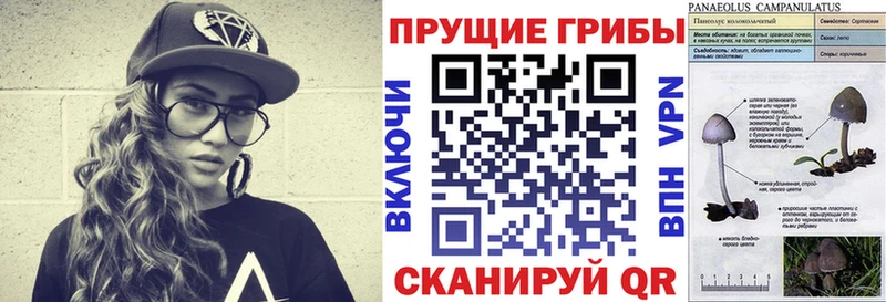 закладка Гагарин Галлюциногенные грибы GOLDEN TEACHER